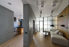 UALCOM partitions and doors are a popular trend in private interiors.