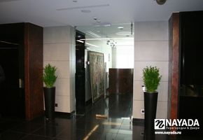UALCOM-Crystal in project Business center 